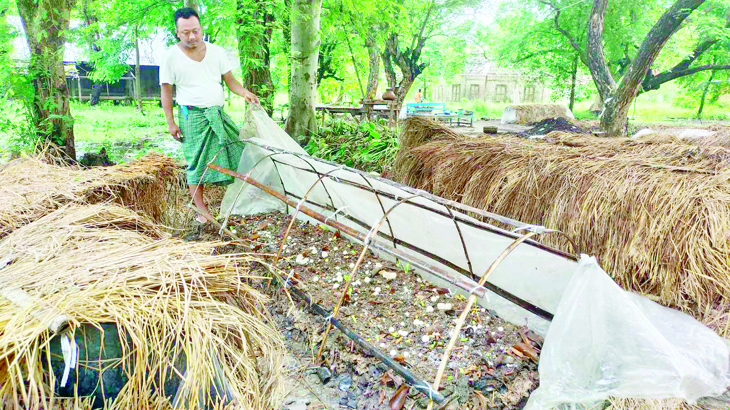 ဆောင်းပါး