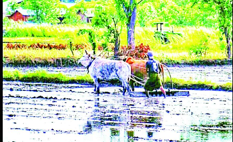 ဆောင်းပါး