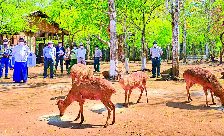 ဆောင်းပါး