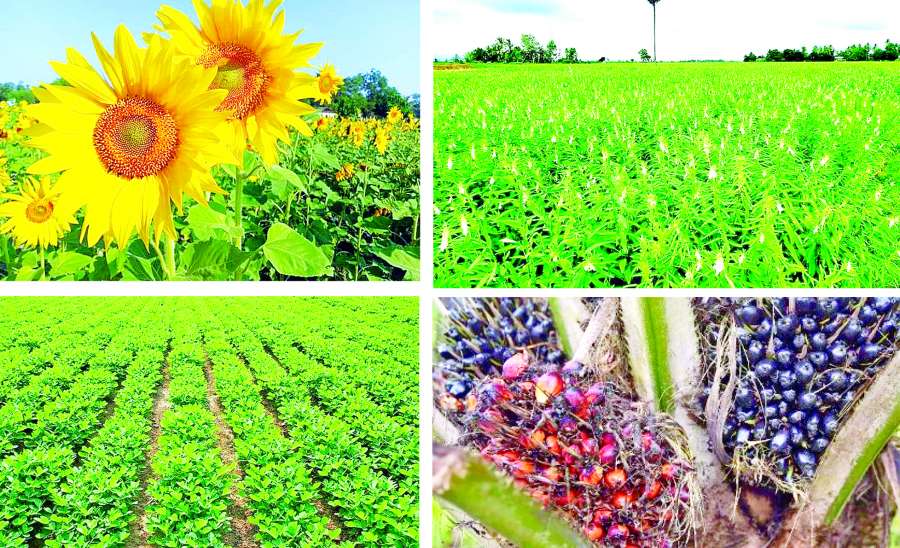 ဆောင်းပါး