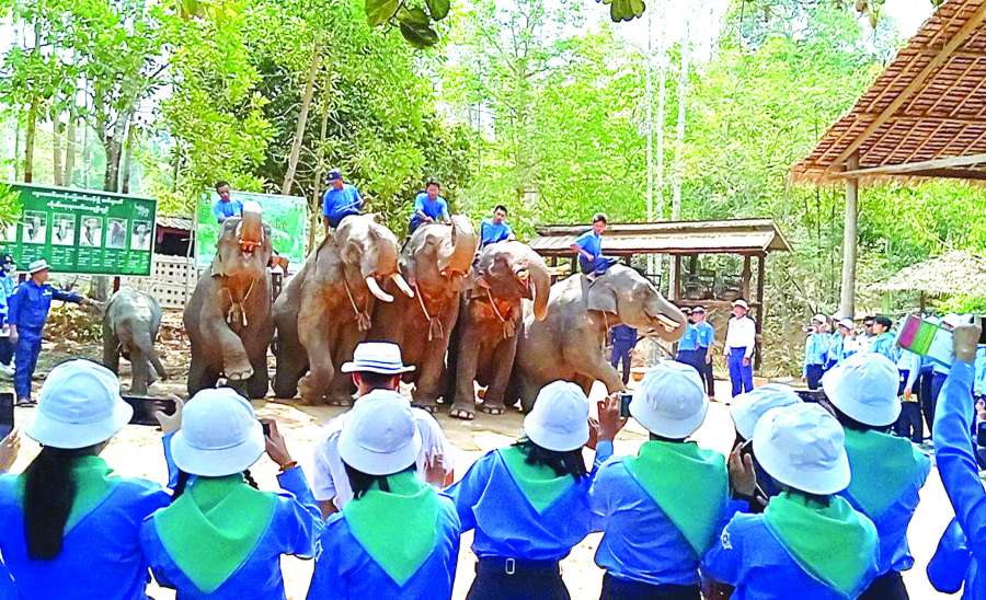 ဆောင်းပါး