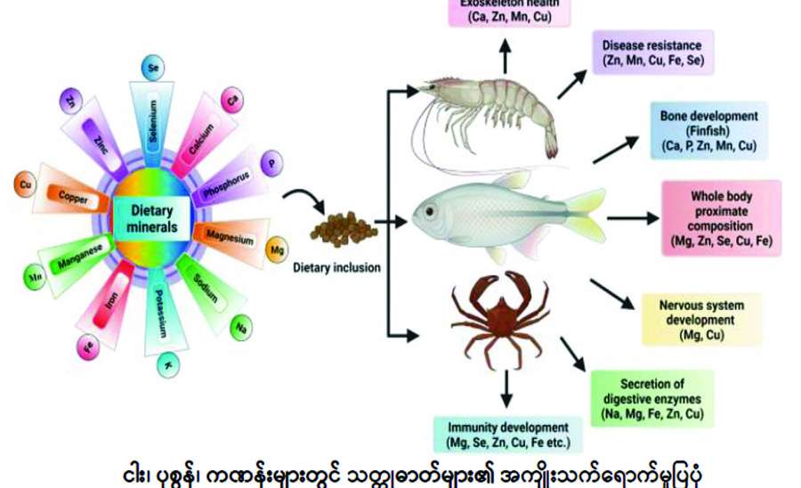 ဆောင်းပါး