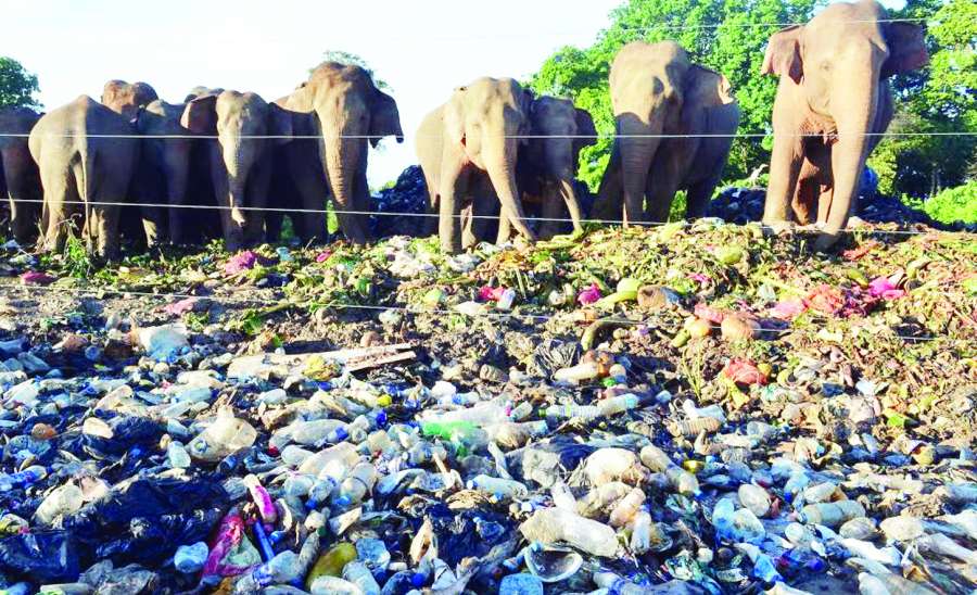 ဆောင်းပါး