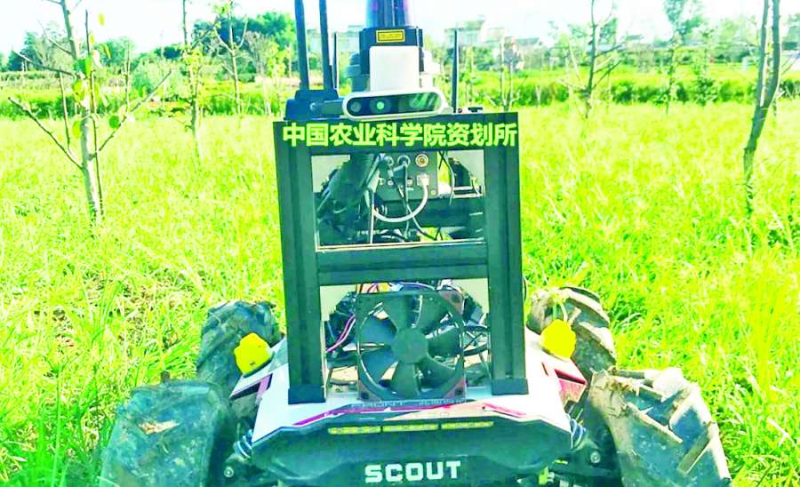 ဆောင်းပါး