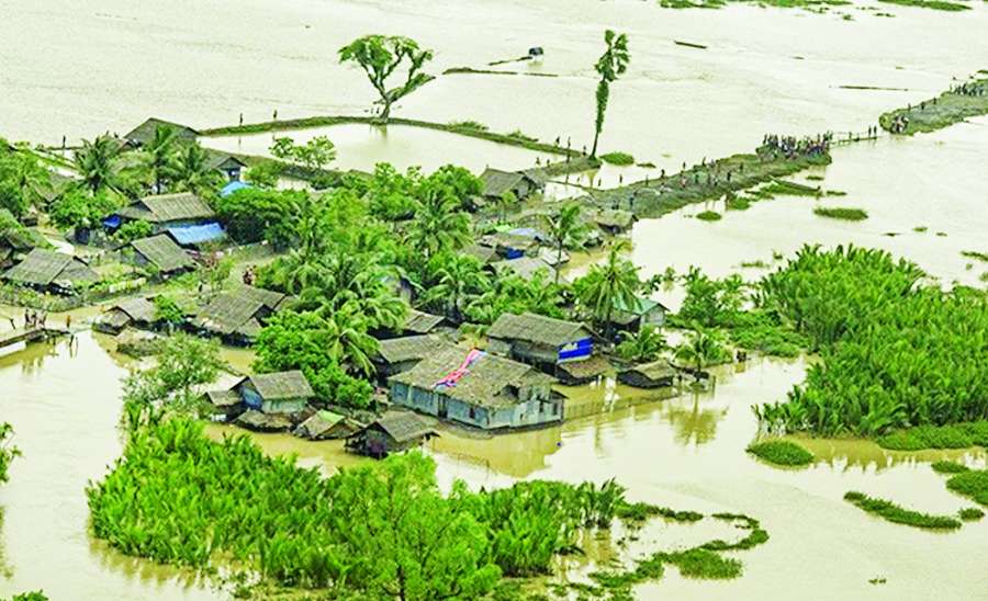 ဆောင်းပါး