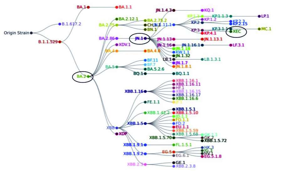 ဆောင်းပါး