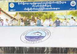 မွေးမြူရေး