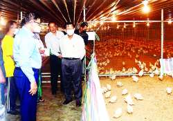 ညောင်နှစ်ပင်၏ အနာဂတ်