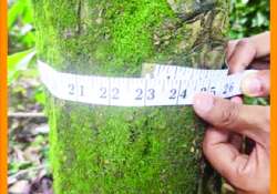 ဆောင်းပါး