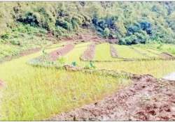 စိုက်ပျိုးရေး