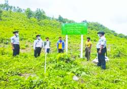 စားနပ်ရိက္ခာဖူလုံဖို့၊ သီးနှံသစ်တောရောနှောစိုက်ပျိုးစို့