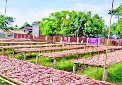 ဆောင်းပါး