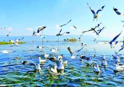 ဆောင်းပါး