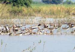 ဆောင်းပါး