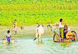 ဆောင်းပါး