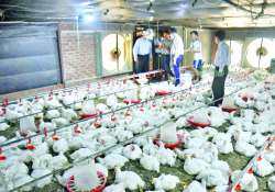 ဆောင်းပါး