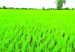 ဆောင်းပါး