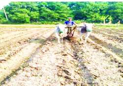 ဆောင်းပါး