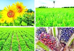 ဆောင်းပါး