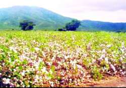 ဆောင်းပါး