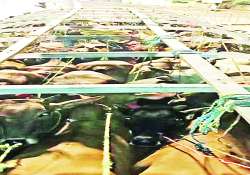 ဆောင်းပါး