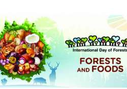 ဆောင်းပါး