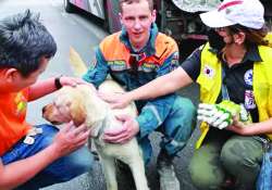 မြန်မာ့စိတ်ရင်း၊ မြန်မာ့ရှုခင်းနှင့် ကြင်နာချစ်ခြင်း သံခင်းတမန်ခင်း