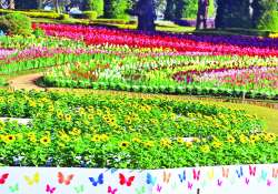 ရောင်စုံပန်းတွေ ဖူးပွင့်တော့မည့် ပြည်ထောင်စုသွေးချင်းတို့မြေ တို့မျှော်နေ …