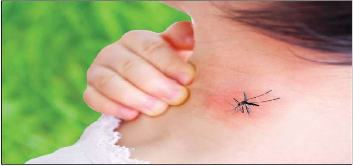 ဆောင်းပါး