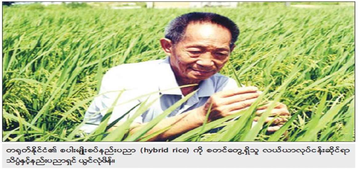 ပညာခေတ်မှာ ပညာသည်သာ ရတနာ