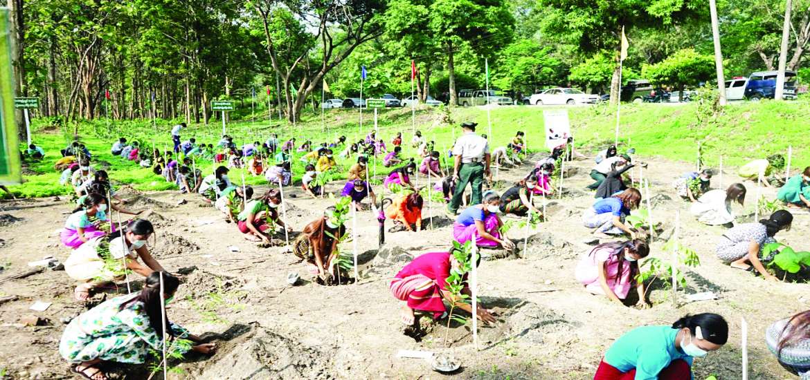 ပတ်ဝန်းကျင်လှပ မျှတရာသီဖြစ်စေဖို့ လူတိုင်းသစ်ပင်စိုက်ကြစို့