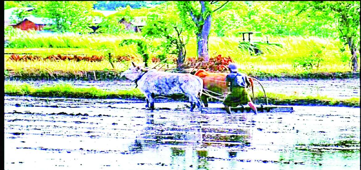 ဆောင်းပါး