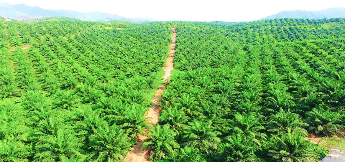 ဒုတိယဆီအိုး ဖြိုးလျှံတိုးအောင် ကြံဆောင်မနှေး ပြည့်ရှေ့ရေး