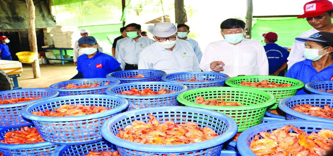 ဆောင်းပါး