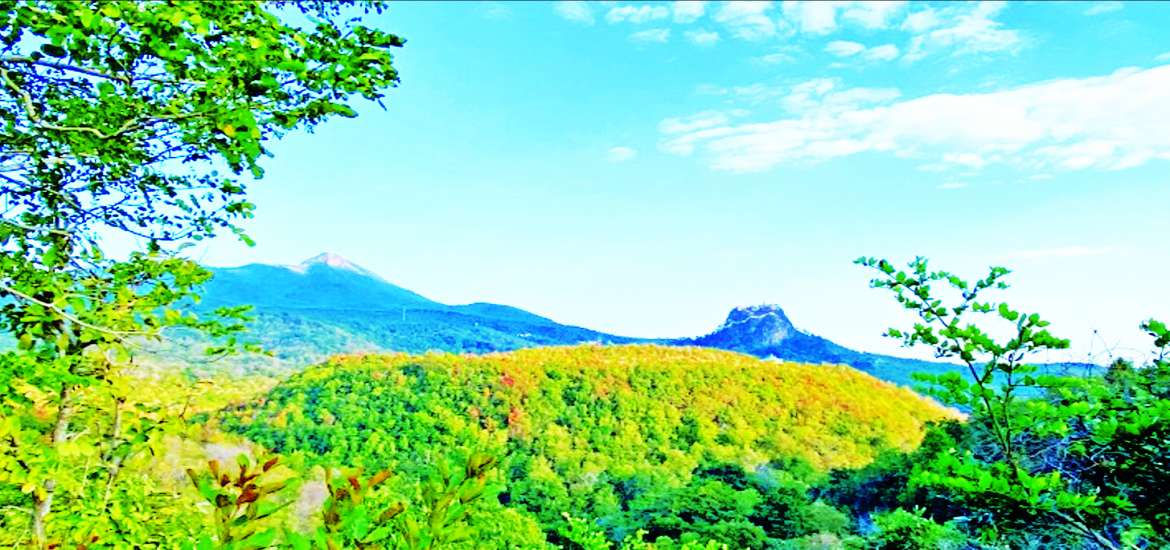 ဆောင်းပါး