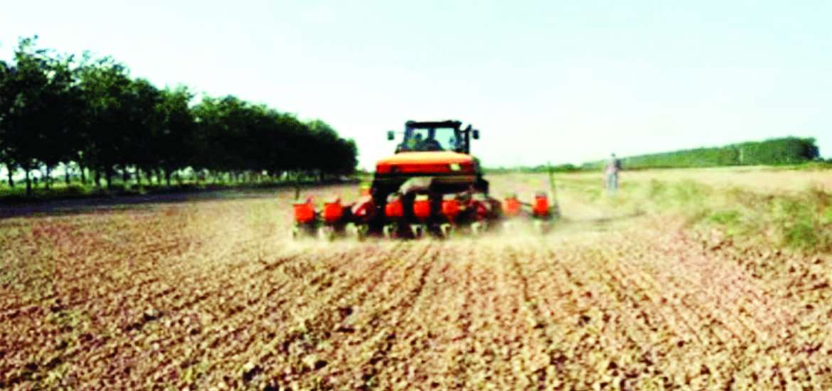 ဆောင်းပါး