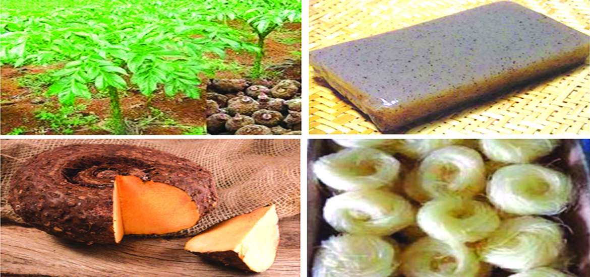 ဆောင်းပါး