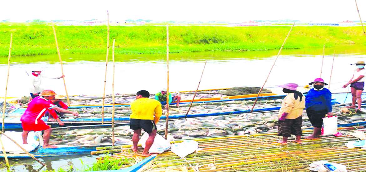 ဆောင်းပါး