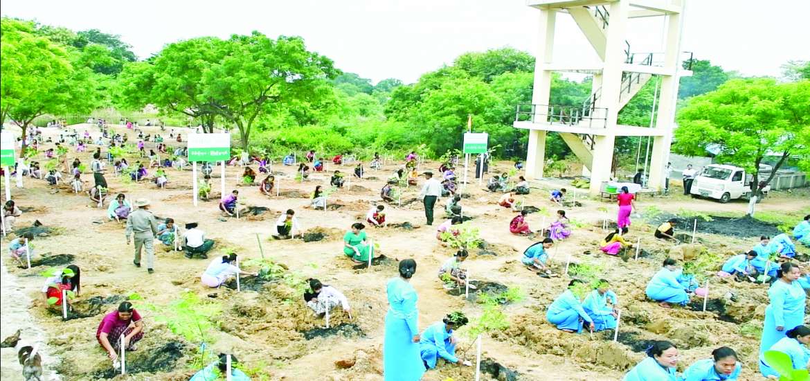 ဆောင်းပါး