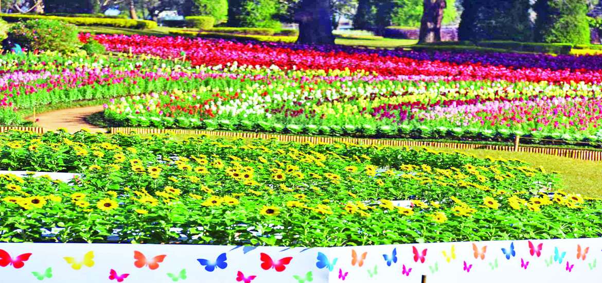 ရောင်စုံပန်းတွေ ဖူးပွင့်တော့မည့် ပြည်ထောင်စုသွေးချင်းတို့မြေ တို့မျှော်နေ …